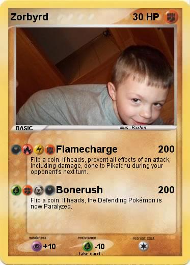 Pokemon Zorbyrd