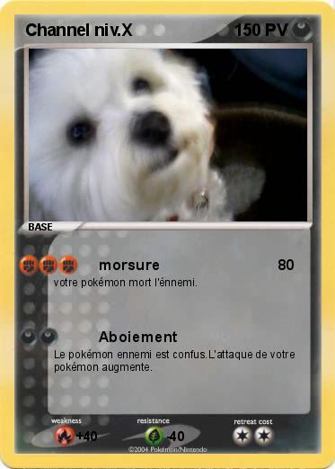 Pokemon Channel niv.X