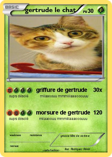 Pokemon gertrude le chat