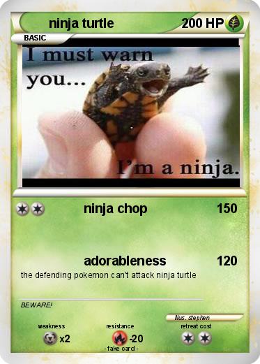 Pokemon ninja turtle
