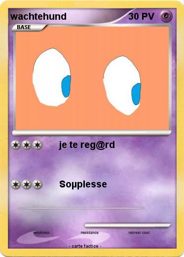 Pokemon wachtehund