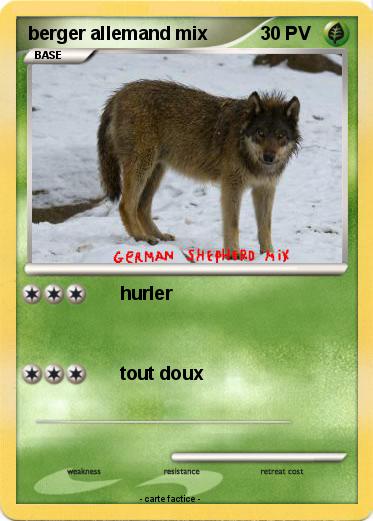 Pokemon berger allemand mix