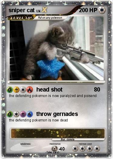 Pokemon sniper cat