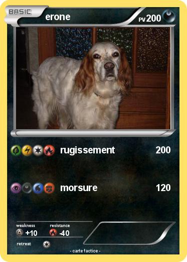Pokemon erone