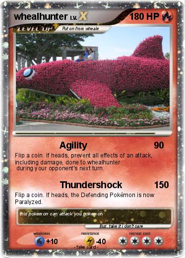 Pokemon whealhunter
