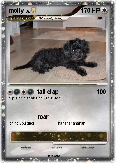 Pokemon molly