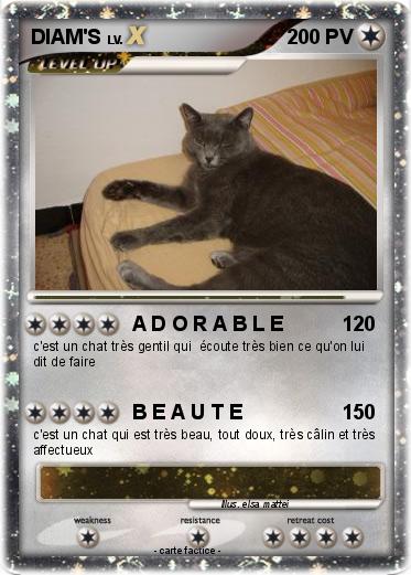 Pokemon DIAM'S
