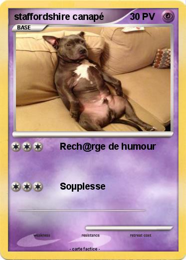 Pokemon staffordshire canapé