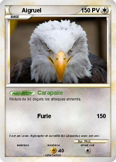 Pokemon Aigruel