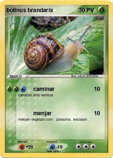 Pokemon bolinus brandaris