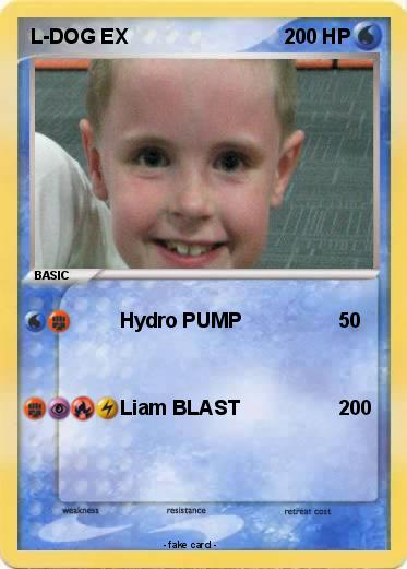 Pokemon L-DOG EX