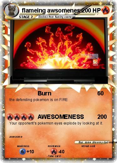 Pokemon flameing awsomeness