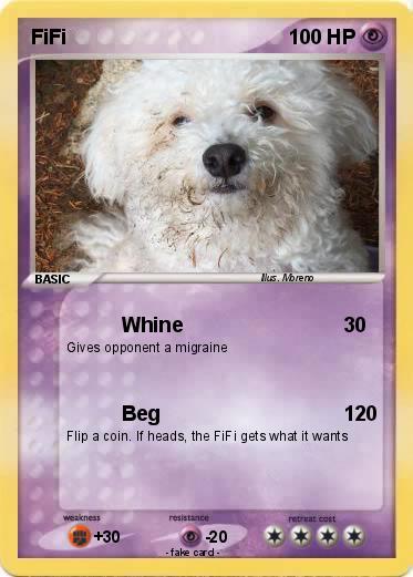 Pokemon FiFi