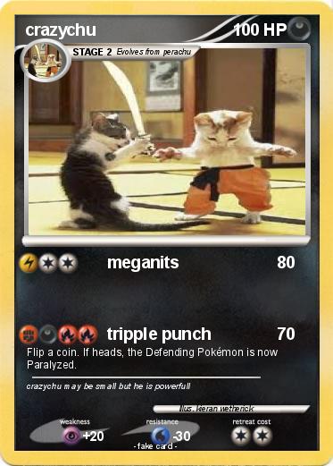 Pokemon crazychu
