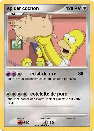 Pokemon spider cochon