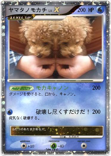 Pokemon ヤマタノモカチ