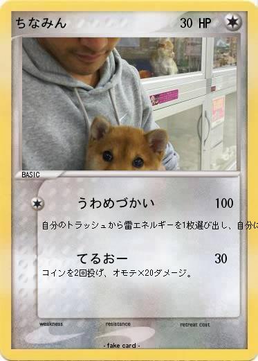 Pokemon ちなみん