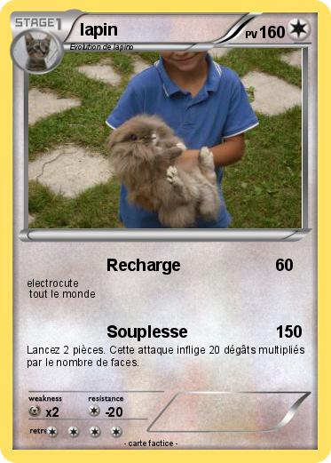 Pokemon lapin