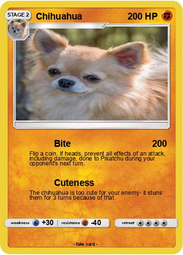 Pokemon Chihuahua