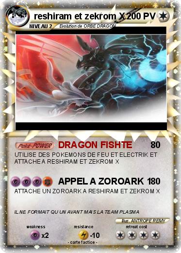 Pokemon reshiram et zekrom X