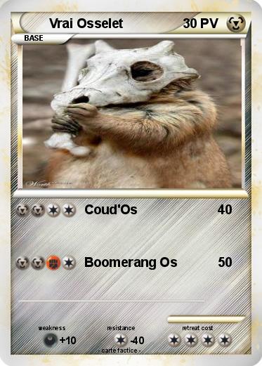 Pokemon Vrai Osselet