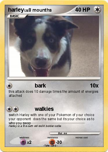 Pokemon harley