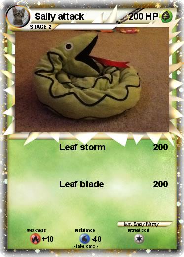 Pokemon Sally attack