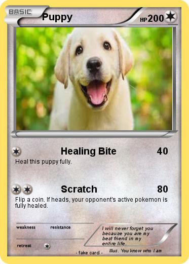 Pokemon Puppy