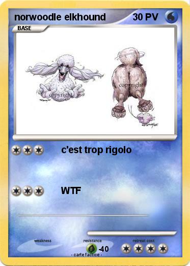 Pokemon norwoodle elkhound