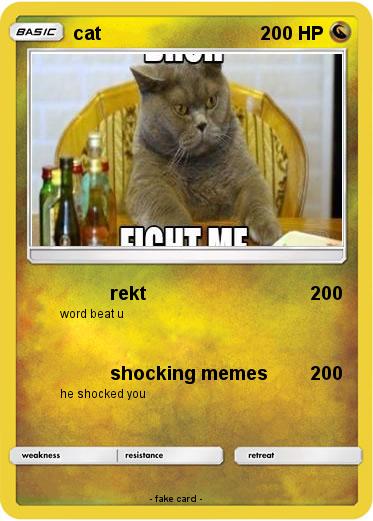 Pokemon cat