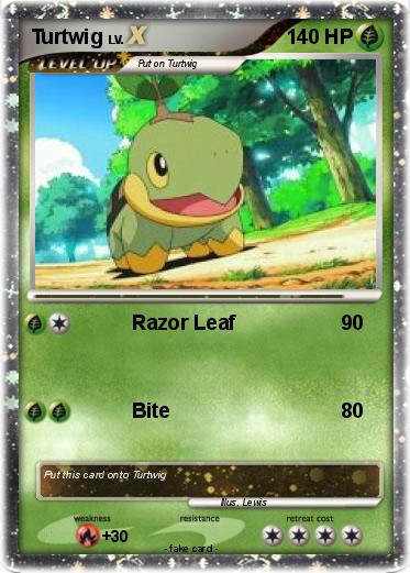 Pokemon Turtwig