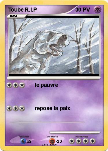Pokemon Toube R.I.P