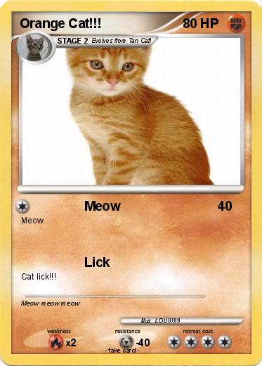 Pokemon Orange Cat!!!