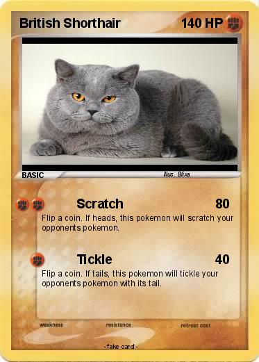 Pokemon British Shorthair