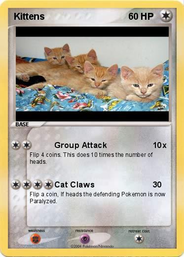 Pokemon Kittens