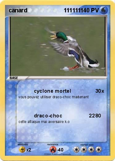 Pokemon canard                       111111      