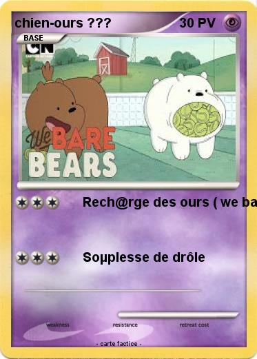 Pokemon chien-ours ???