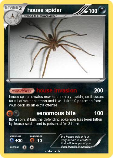 Pokemon house spider
