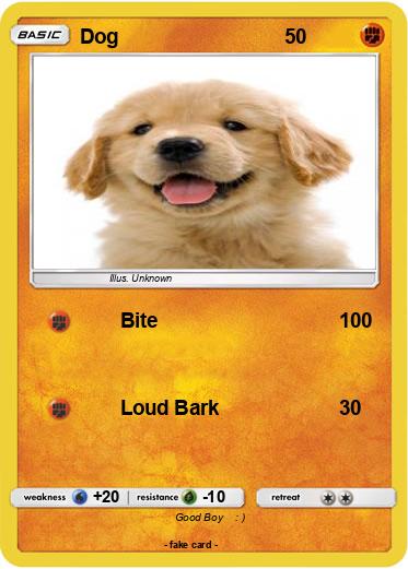 Pokemon Dog