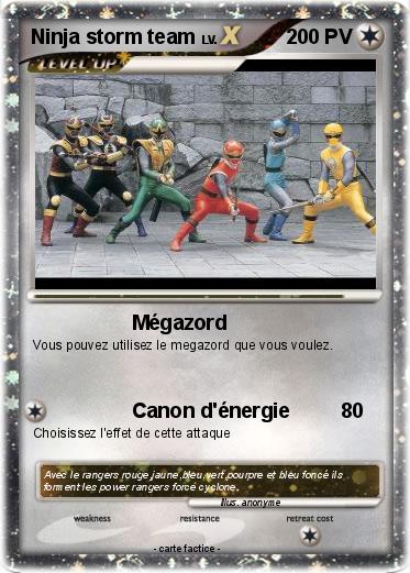 Pokemon Ninja storm team