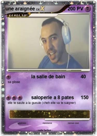 Pokemon une araignée