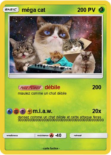 Pokemon méga cat