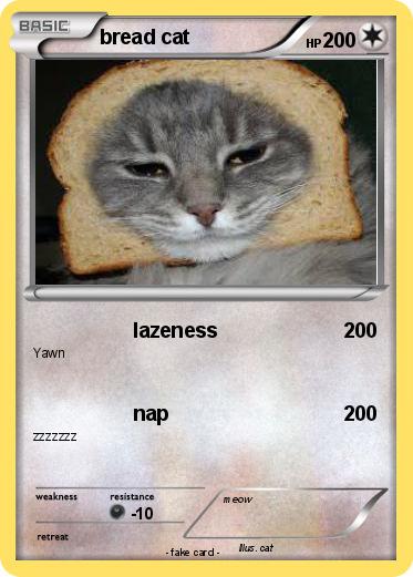 Pokemon bread cat