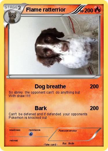 Pokemon Flame ratterrior
