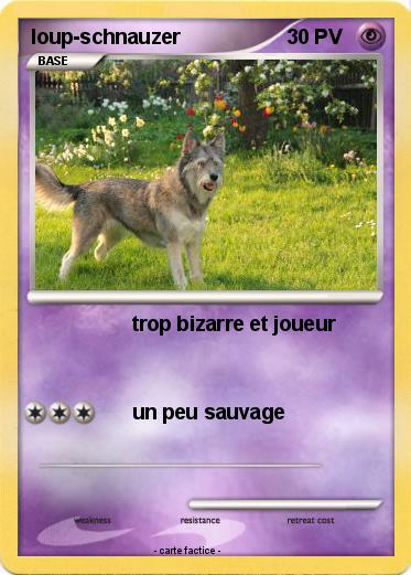 Pokemon loup-schnauzer