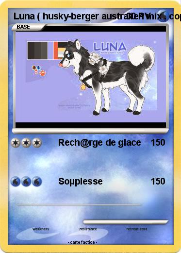 Pokemon Luna ( husky-berger australien mix , copine de John chiot berger allemand )