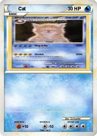 Pokemon Cat