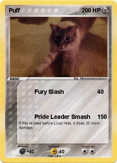 Pokemon Puff