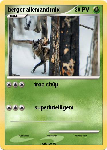 Pokemon berger allemand mix