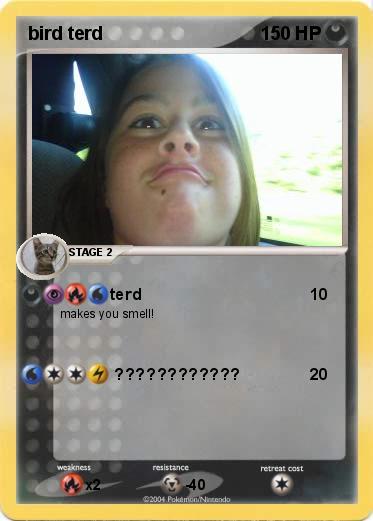 Pokemon bird terd